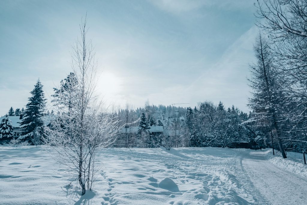 Winter in Germany: Ski Resorts and Cozy Traditions