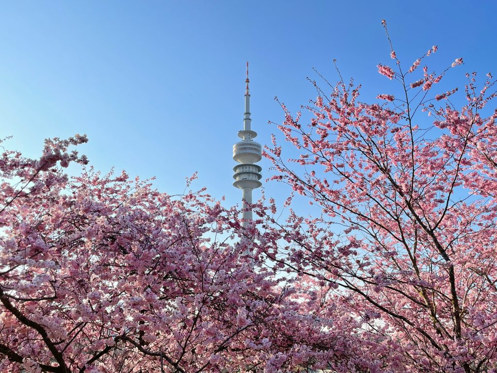 Spring Flowers in Germany