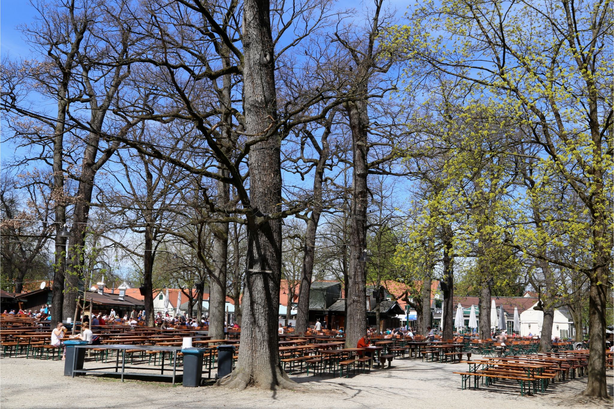 A Guide to Germany’s Best Beer Gardens - Berge & Bier: Germany Travel Guide