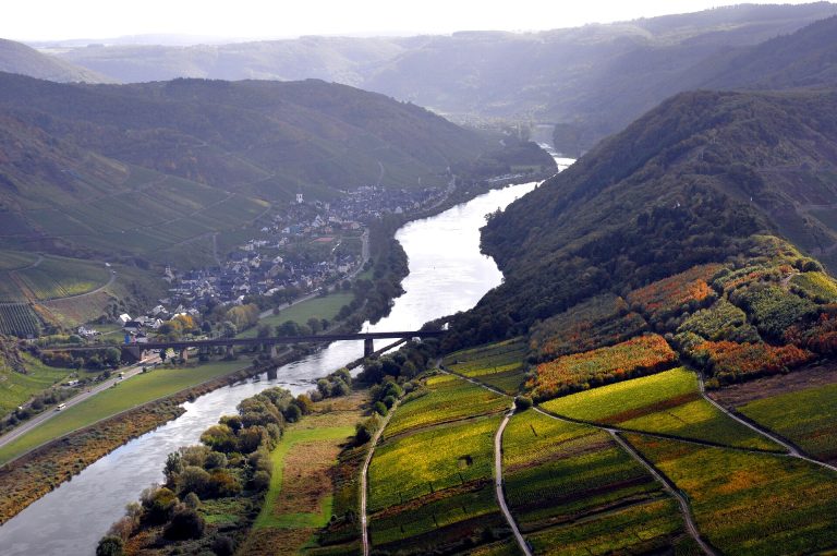 Best Wine Festivals in Germany by Region