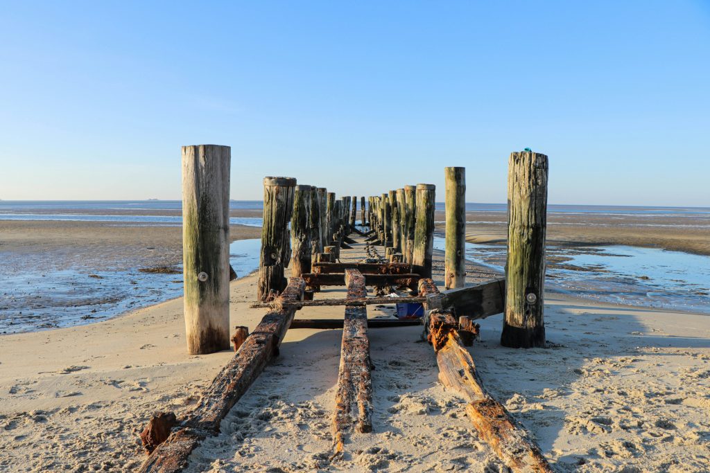 Föhr