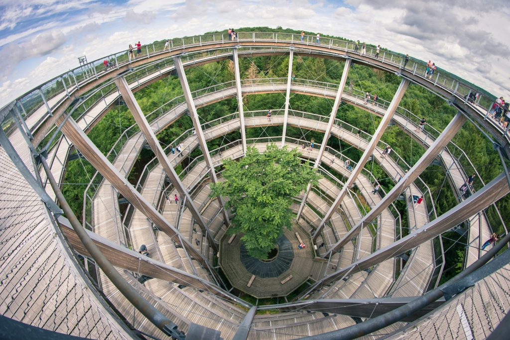 Germany’s Best Forest Parks