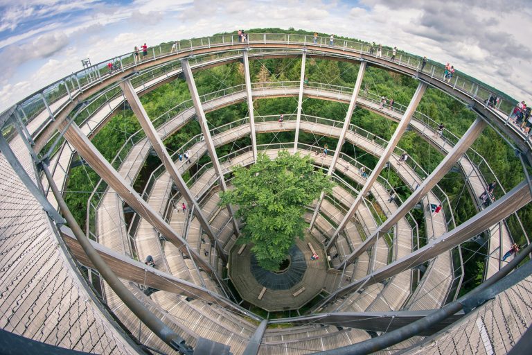 Germany’s Best Forest Parks